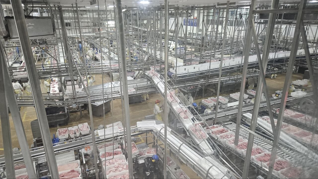 Rosario production floor showing process control and operating scale.