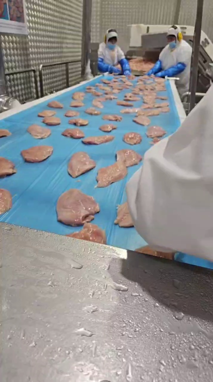 Plant sorting process showing hands on quality attention and product flow.